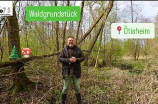 Grundstück zu kaufen in 75443 Ötisheim, Waldgrundstück in Ötisheim – interessante Sachwertanlage für Kapitalanleger