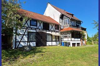 Haus kaufen in 07639 Tautenhain, Wohnen mit Stil, großzügiges 1-2 Familienhaus sofort verfügbar