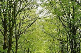 Wohnung kaufen in 01454 Ullersdorf, Ullersdorf - Sanierte Terrassenwohnung mit eigenem Garten an der Dresdner Heide!
