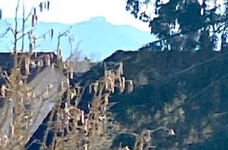 Wohnung kaufen in 72649 Wolfschlugen, Wolfschlugen - 4 Zimmer Maissonette Wohnung mit Weitblick in Wolfschlugen