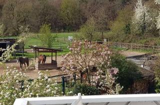 Wohnung mieten in 63303 Dreieich, Dreieich - Wohnung zum Mieten in Dreieich 2.000,00 ? 144 m²