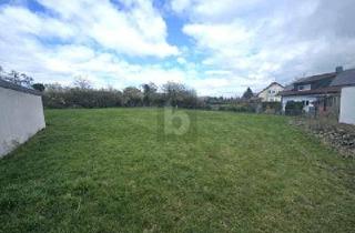 Grundstück zu kaufen in 74363 Güglingen, Güglingen - GROßES GRUNDSTÜCK IN BEGEHRTER LAGE