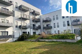Wohnung kaufen in Alte Seilerei 16, 96047 Bamberg, Eckwohnung mit Garten und Terrasse