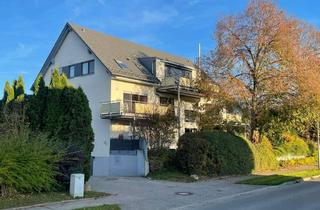 Wohnung mieten in Fischbacher Str. 31/3, 88444 Ummendorf, Exklusive, neuwertige 3 Zimmer-Wohnung mit geh. Innenausstattung mit Balkon und EBK in Ummendorf