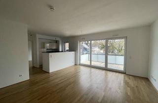 Wohnung mieten in 40822 Mettmann, Exklusive, lichtdurchflutete 2-Zimmer-Wohnung mit Balkon & Aufzug in Mettmann-Zentrum