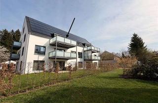 Wohnung mieten in Hauptstraße 50b, 86853 Langerringen, 2-3-Zimmer-Wohnung mit großem Balkon