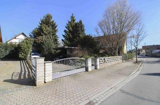 Einfamilienhaus kaufen in 04683 Naunhof, Im Sommer am Pool, im Winter am Kamin: Einfamilienhaus mit barrierefreier Einliegerwohnung