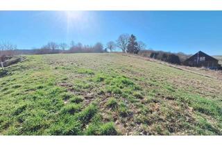 Grundstück zu kaufen in 55546 Tiefenthal, Attraktives Baugrundstück in Tiefenthal (Rheinhessen) – Hanglage mit Aussicht!