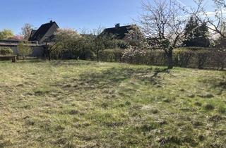 Grundstück zu kaufen in 31234 Edemissen, Ruhiges Restbaugrundstück in Sackgasse in Wipshausen