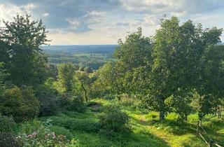 Wohnung mieten in 42579 Heiligenhaus, Traumlage mitten im Grünen mit Garten