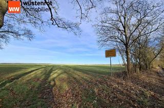 Grundstück zu kaufen in 15806 Zossen, Sichern sie sich eins der letzten Baugrundstücke mit Panoramablick in Zossen. Voll erschlossen !!!
