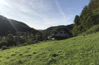 Grundstück zu kaufen in 95460 Bad Berneck, Sehr großes, schönes Villengrundstück im Metropolregion Nürnberg!