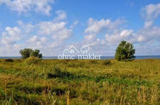 Immobilie kaufen in Grabowerstraße, 18445 Nisdorf, Traumhaftes Grundstück am Wasser - Grabower Bodden