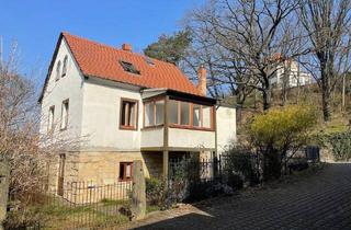 Einfamilienhaus kaufen in 01326 Dresden, Dresden - Charmantes Einfamilienhaus mit Elbblick