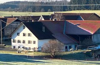 Wohnung kaufen in 87490 Haldenwang, Haldenwang - Offenes Wohnen unter dem Dach mit fantastischem Bergblick