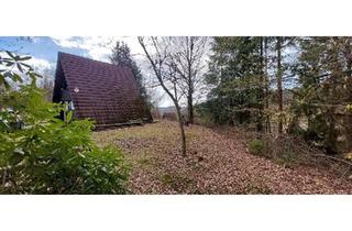 Haus kaufen in 36266 Heringen, Heringen (Werra) - Nurdachhaus - großes Grundstück am Wald - Ferienpark Machtlos