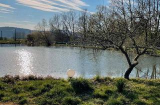 Haus kaufen in 07646 Stadtroda, Stadtroda - Erholungsgrundstück vor den Toren Jenas