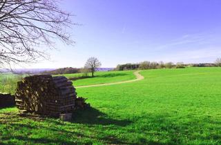 Wohnung kaufen in 87770 Oberschönegg, 2045 m² Grundstück!! Mit 3-4 Zi.-Wohnung sowie ein Wirtschaftsgebäude/Stall-Tenne!!