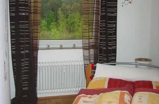 Wohnung mieten in 95447 Meyernberg, 2-Zimmer Wohnung mit Schwimmbad / Sauna und schönem unverbaubaren Blick, Nähe Klinikum