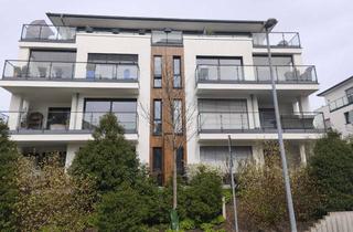 Wohnung mieten in 32756 Detmold, Moderne 4-Zimmer Wohnung mit Terasse und eigenem Garten in Detmold