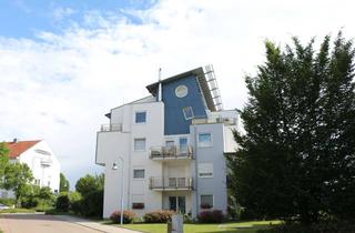 Wohnung mieten in Edith-Stein-Str. 30, 88471 Laupheim, TOP 1-Zimmer-Wohnung mit neuer Einbauküche, 1. OG mit Balkon, TG-Stellplatz und Aufzug!