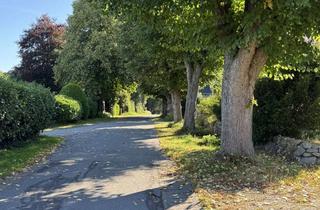 Wohnung mieten in Mühlenweg 12, 24884 Selk, Top mit Blick auf das Selker Noor und dem Schleswiger Dom
