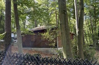 Haus kaufen in 14548 Schwielowsee, Idyllisches Wochenendhaus (Waldlage) in Ferch am Schwielowsee (Erbbaurecht, Restlaufzeit 60 Jahre)