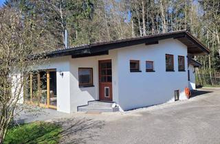 Einfamilienhaus kaufen in 89257 Illertissen, Kernsaniertes Einfamilienhaus in Illertissen