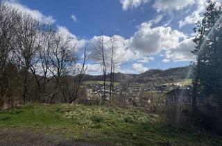 Grundstück zu kaufen in 51702 Bergneustadt, Hanggrundstück über den Dächern von Neuenothe