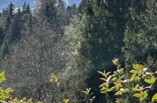 Grundstück zu kaufen in 82467 Garmisch-Partenkirchen, Absolute Ausblicklage am Hang, Bauerwartungsland für Investoren mit Weitblick