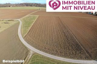 Gewerbeimmobilie kaufen in 89407 Dillingen, 1,46 ha Ackerkland in Dillingen/Donaualtheim, 1a Lage, 1a Erträge, 1a Investment!
