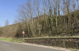 Grundstück zu kaufen in 56859 Bullay, 531QM EXKLUSIVES MOSELGOLDSTÜCK IN BESTLAGE