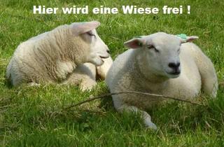 Grundstück zu kaufen in 75335 Dobel, Grundstück in Straubenhardt - unverbaubare Südlage - viel Ruhe - Kinderparadies