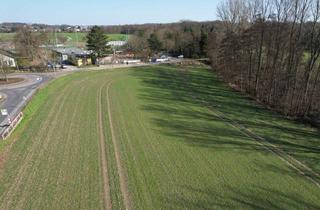 Gewerbeimmobilie kaufen in Langenkamp, 40885 Ratingen, Grünland mit kleinem Wald und Bachlauf - mitten in Ratingen Breitscheid