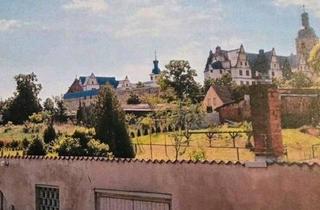 Einfamilienhaus kaufen in 39279 Loburg, Gommern - Leben im Grünen - modernes Einfamilienhaus mit großem Grundstück