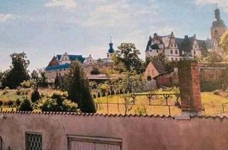 Einfamilienhaus kaufen in 39279 Loburg, Gommern - Leben im Grünen - modernes Einfamilienhaus mit großem Grundstück