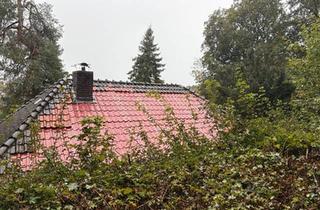 Einfamilienhaus kaufen in 34311 Naumburg, Naumburg - Einfamilienhaus mit Potenzial in Naumburg (Hessen)