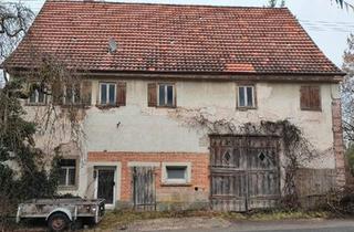 Haus kaufen in 72351 Geislingen, Geislingen - Haus mit großer Scheune und Südwest-Grundstück - Projektobjekt