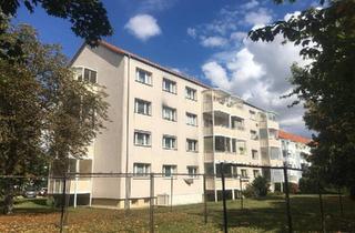 Wohnung kaufen in 06667 Weißenfels, Weißenfels - 3 Wohnungen im Paket in Weißenfels-West