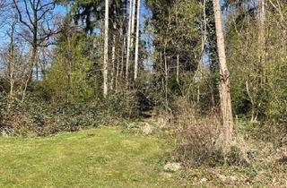 Einfamilienhaus kaufen in 21397 Barendorf, Barendorf - Deutsch Evern, wunderschönes Waldgrundstück in Top Lage