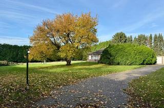 Einfamilienhaus kaufen in 46485 Wesel, Wesel - Gepflegter Bungalow mit großem Grundstück, Vollkeller, Sauna