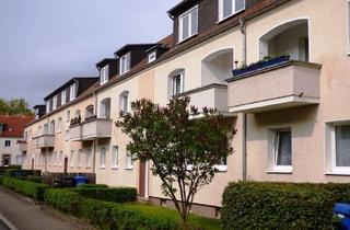 Wohnung mieten in Havelstraße 12, 06846 Ziebigk, Ziebigk!!! 3 Zimmer im Erdgeschoß