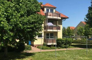 Wohnung mieten in Biendorfer Bogen, 06366 Köthen (Anhalt), Schicke 2 Raumwohnung (Hochparterre) mit Balkon und Einbauküche wird renoviert
