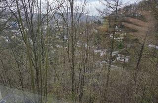 Wohnung mieten in Albert-Schweitzer-Straße 18, 58791 Werdohl, Charmante 2‑Zimmer‑Wohnung – ideal für Singles oder Paare und 1.000€ Gutschein*