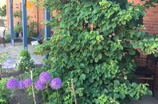 Wohnung mieten in Lange Straße 35b, 21255 Kakenstorf, Möblierte 2‑Zimmer Wohnung in Kakenstorf