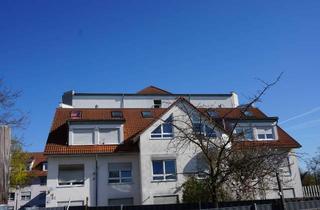 Wohnung mieten in 76726 Germersheim, Kleines Appartement mit Empore und Küche, TG in Germersheim-Sondernheim