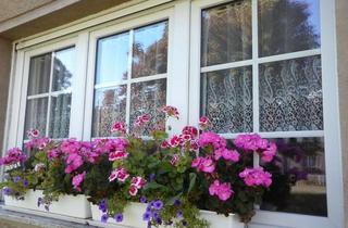 Bauernhaus kaufen in 04509 Löbnitz, Bauernhaus nähe Mühlfeldsee
