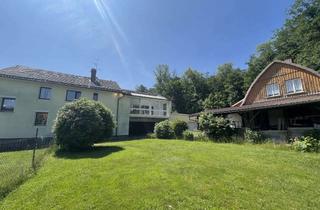 Einfamilienhaus kaufen in 36355 Grebenhain, Einfamilienhaus mit Gewerbeeinheit und Garagen in beliebter Lage von Hochwaldhausen!