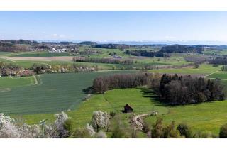 Haus kaufen in 88287 Grünkraut, Wohnen im Grünen (Tier / Pferdehaltung möglich) mit atemberaubendem Panoramablick und viel Land