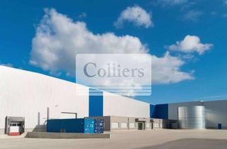 Gewerbeimmobilie mieten in 68165 Schwetzingerstadt, 6.000 m² Lagerfläche | Rampe + Ebenerdig